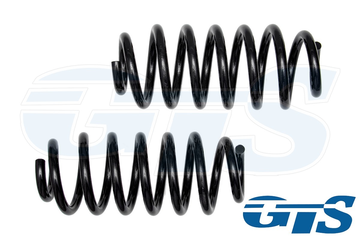 Пружины Технорессор для а/м Volkswagen Golf / Skoda Octavia задние, занижение -50
