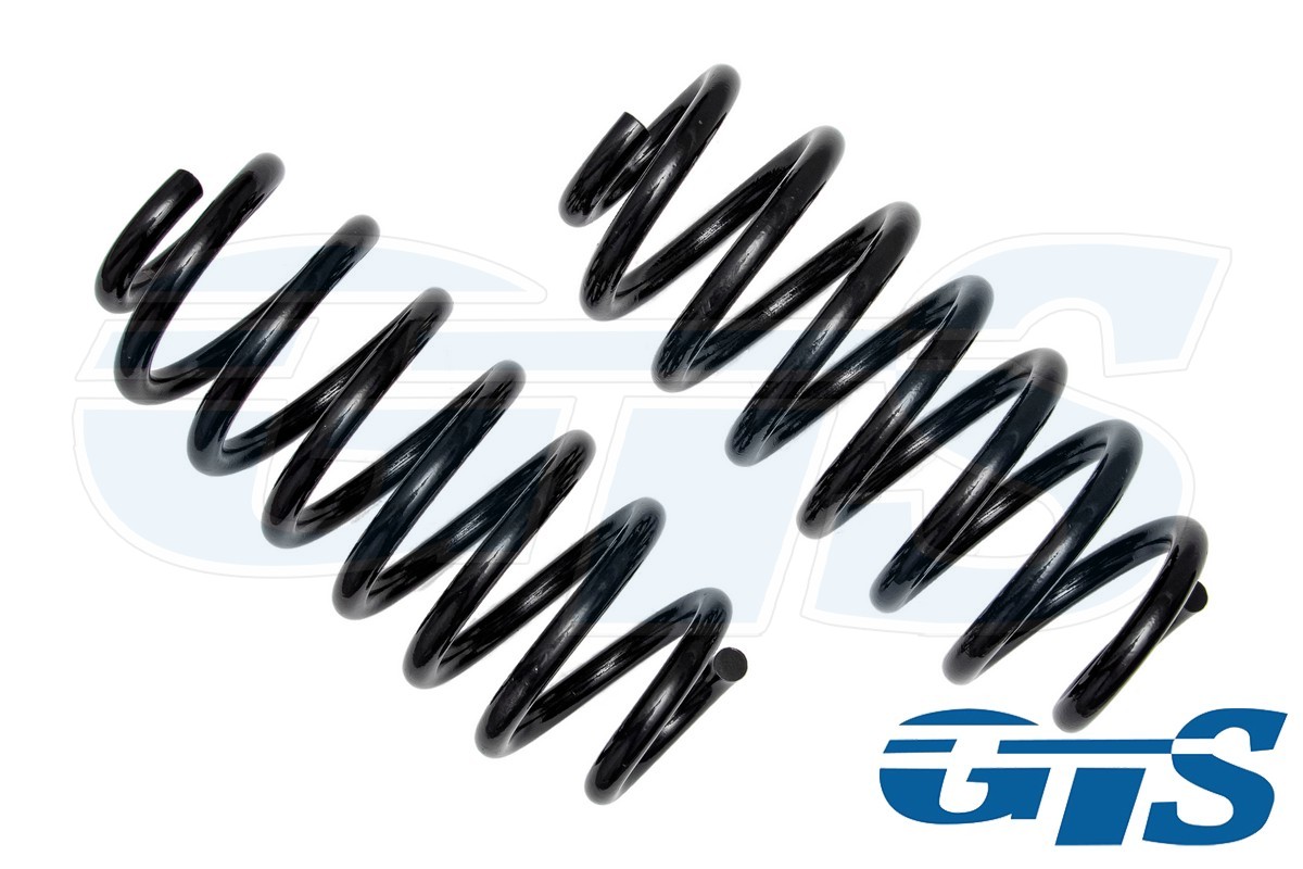 Пружины Технорессор для а/м Volkswagen Golf / Skoda Octavia задние, занижение -50