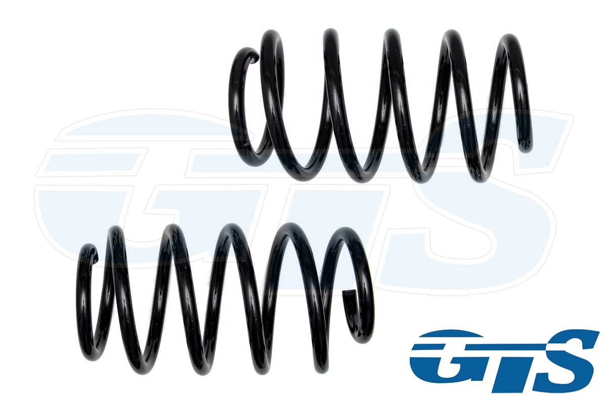 Пружины Технорессор для а/м Volkswagen Golf, Jetta, Passat / Skoda Octavia передние, занижение -50