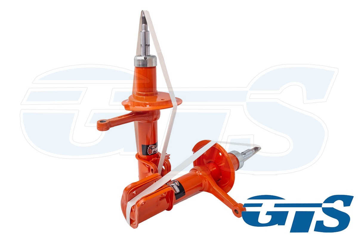 Комплект стоек передней подвески FOX для а/м ВАЗ 2110-12, газ/масло